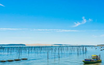 Pyla sur Mer : les secrets de sa dune révélés par ses anciens habitants