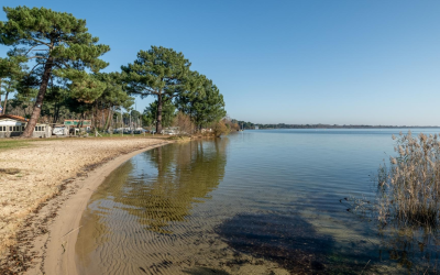 Trésors cachés des plages du bassin d’Arcachon