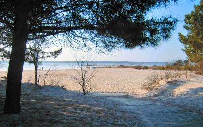 Évasion balnéaire sur les plages du Bassin d’Arcachon