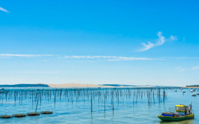Arcachon entre dunes majeures et plages familiales aux bienfaits iodés