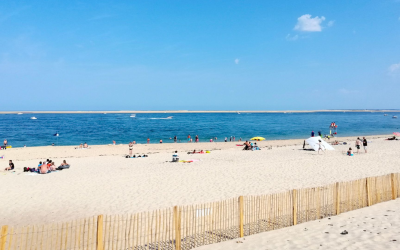 Arcachon révèle ses plages secrètes entre dunes, pins et marées