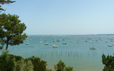 Arcachon, trésor côtier où plages sauvages rencontrent histoire et lumière