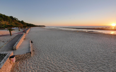 Plages d’arcachon guide expert 2024 surf, détente, nature assurés authenticité