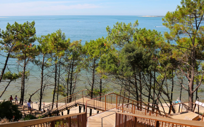 Dune du pilat, colosse mouvant domine l’atlantique et attire millions
