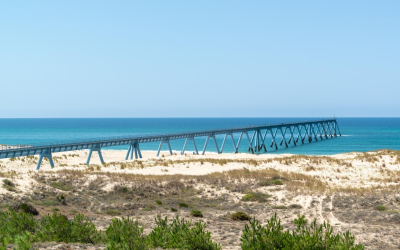 Banc d’arguin refuge vivant façonné par marées et vents atlantiques