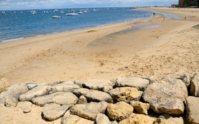Bassin d’arcachon, plages sauvages et panoramas iodés toute l’année inoubliables