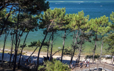 Dune du pilat, colosse blond qui avale forêts et regards