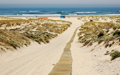 Arcachon hors saison révèle la magie intime de ses plages
