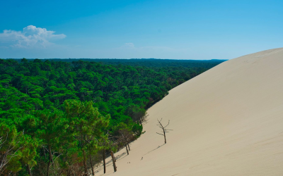 Plages du Bassin d’Arcachon, immersion iodée entre dunes et vagues