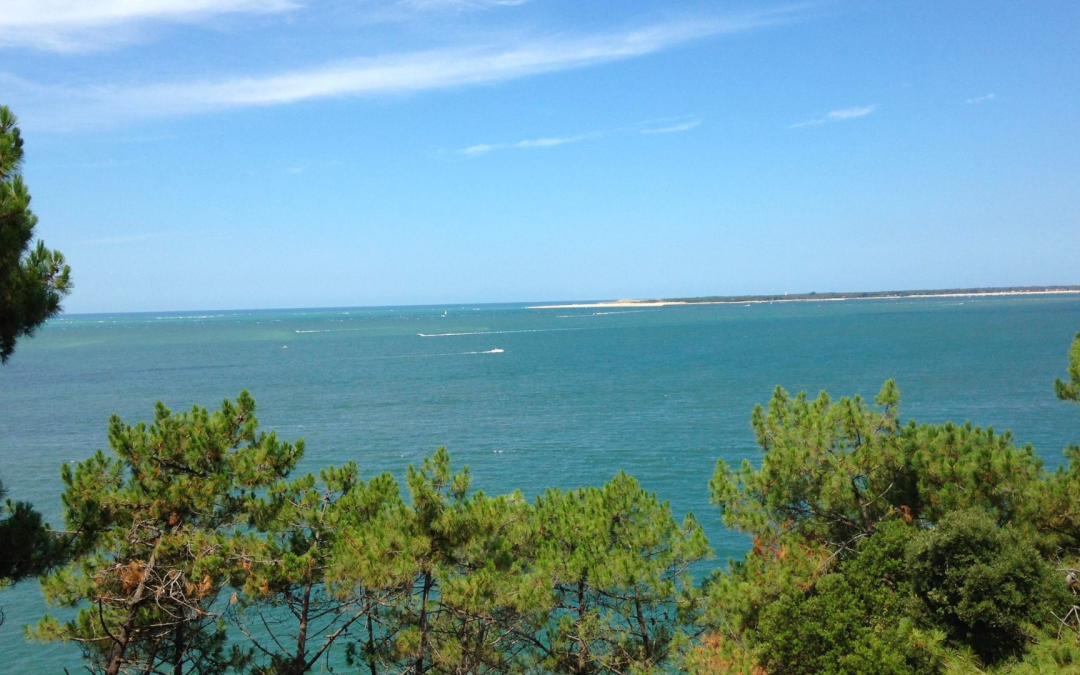 Banc d’Arguin, sanctuaire mouvant d’oiseaux, vents et lumière atlantiques sauvages