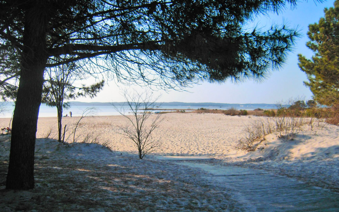 Plage pereire, bijou d’arcachon entre sable blond et soleil radieux