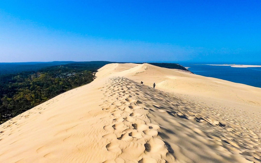 Escalader la dune du pilat, colosse blond avançant chaque année