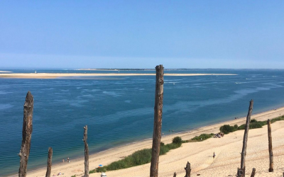 Banc d’arguin, sanctuaire vivant entre dunes, marées et oiseaux migrateurs