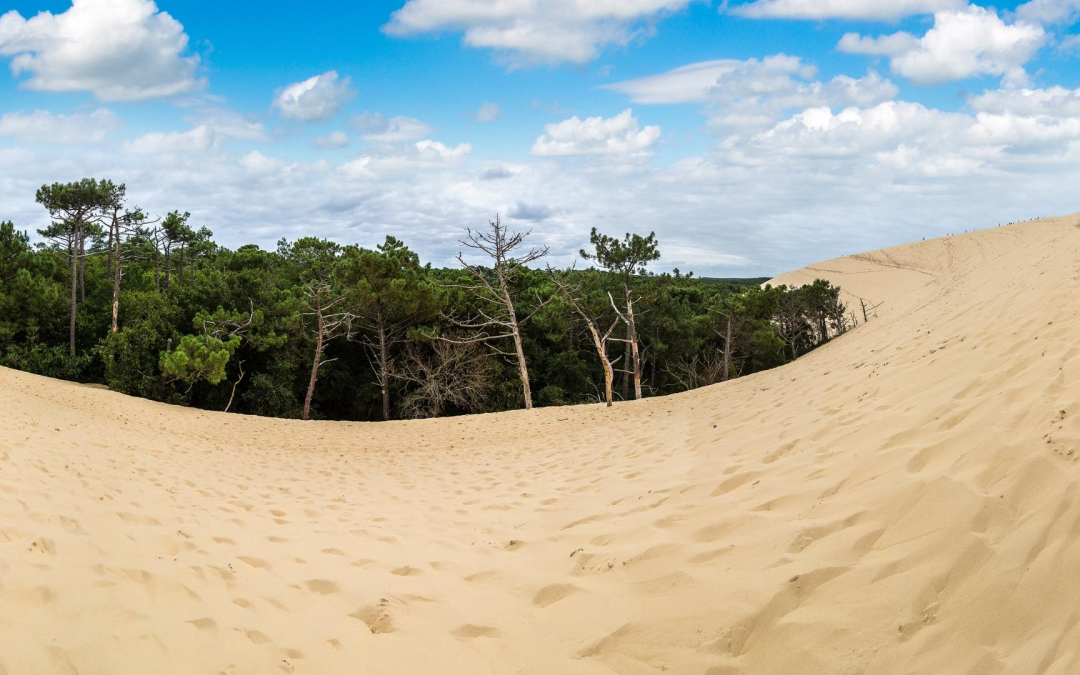Dune du pilat, géant blond aux chiffres records