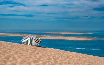 Banc d’arguin, dune vivante où sternes et marées dialoguent éternellement