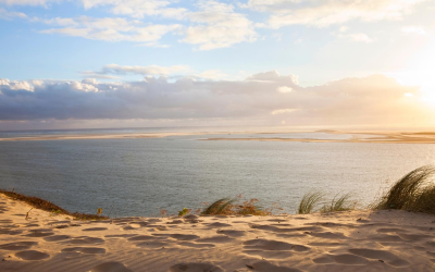 Banc d’arguin, joyau mouvant entre émerveillement et sauvegarde fragile