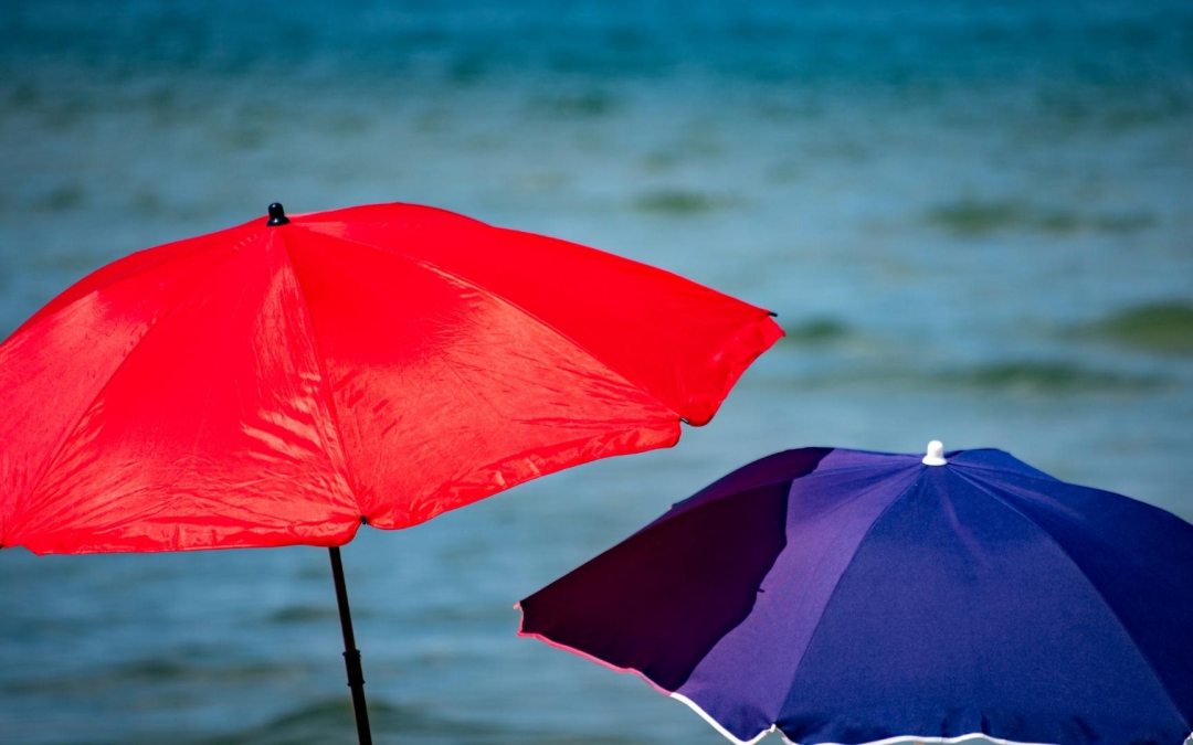 Banc d’arguin, sanctuaire mouvant où convergent oiseaux, visiteurs et mystères
