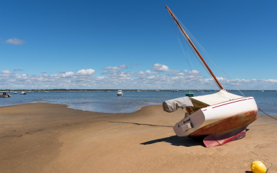 Banc d’arguin, joyau mouvant et fragile du bassin d’arcachon