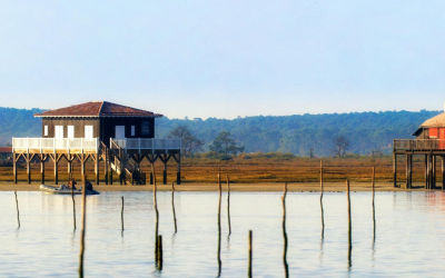 Sables secrets d’arcachon explorez pereire et ses trésors naturels cachés
