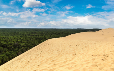 Dune du Pilat, colosse mouvant offrant vertige, nature et émerveillement
