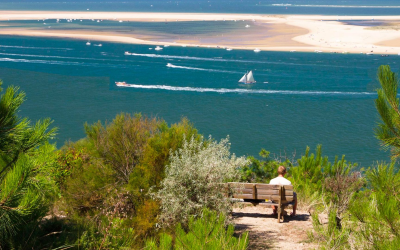 Banc d’arguin, joyau fuyant d’arcachon menacé par l’érosion marine accélérée